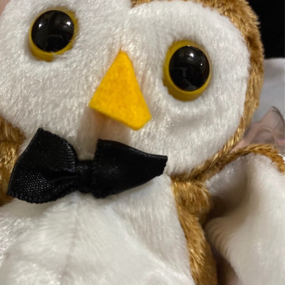 Ty Beanie Babies Wisest The Owl